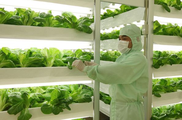 壽光市蔬菜冷庫安裝