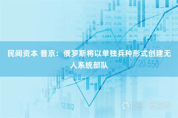 民间资本 普京：俄罗斯将以单独兵种形式创建无人系统部队
