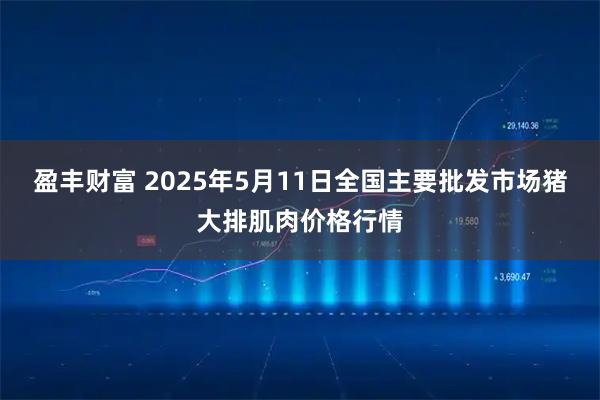 盈丰财富 2025年5月11日全国主要批发市场猪大排肌肉价格行情
