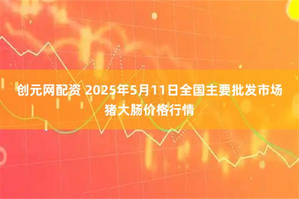 创元网配资 2025年5月11日全国主要批发市场猪大肠价格行情