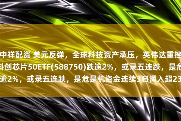 中祥配资 美元反弹，全球科技资产承压，英伟达重挫！寒武纪跌逾1%，科创芯片50ETF(588750)跌逾2%，或录五连跌，是危是机资金连续3日涌入超23亿元